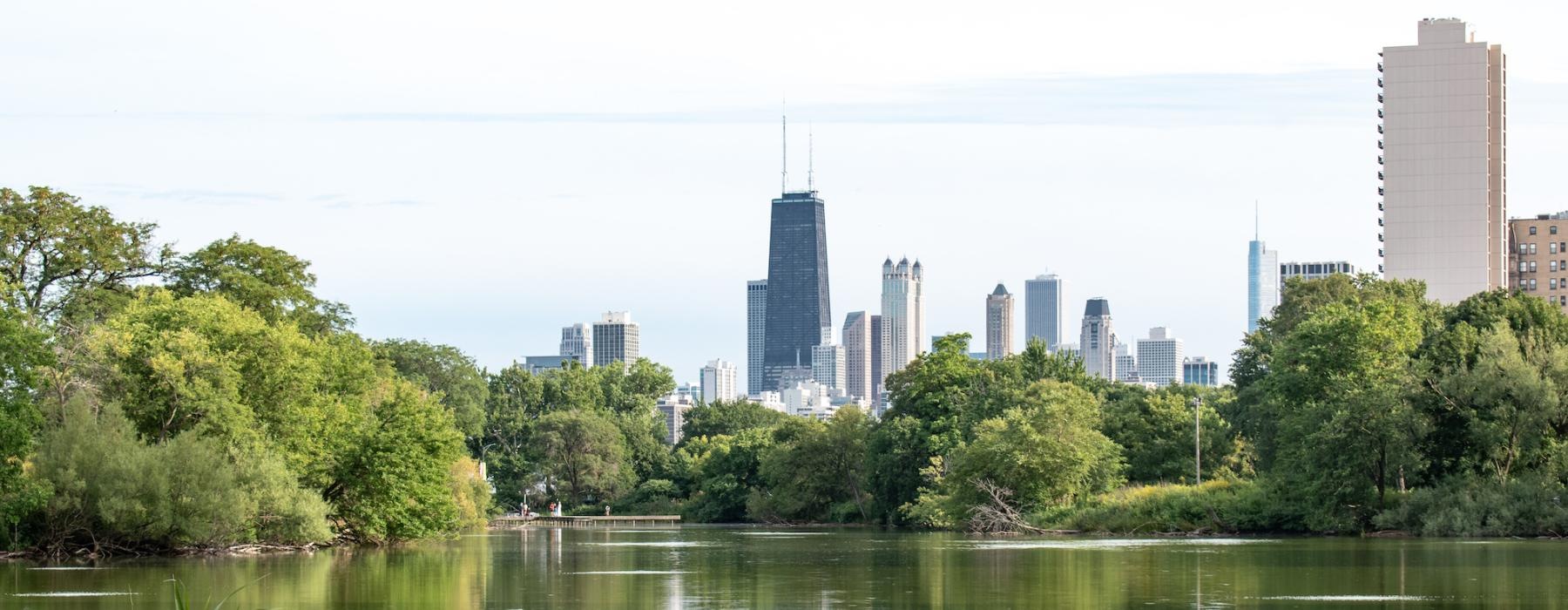 a body of water with trees and buildings in the background