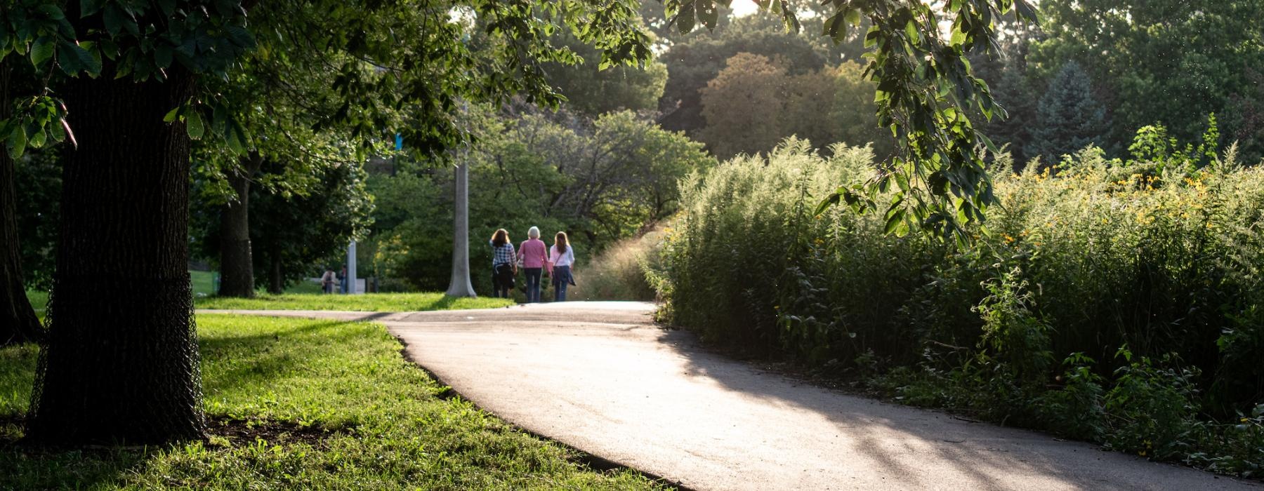 a group of people walking on a path through a park