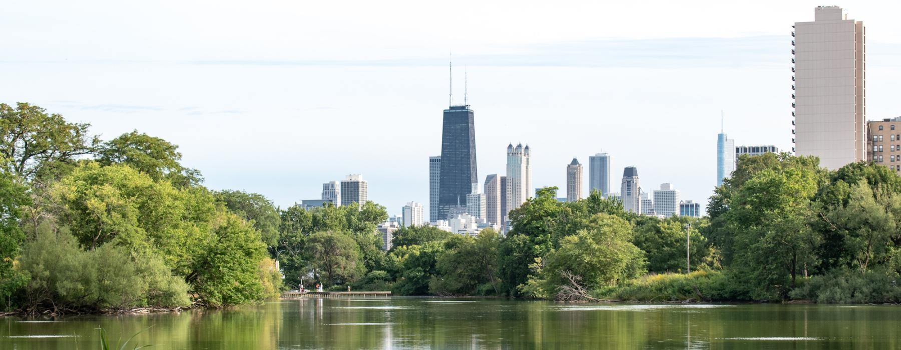 a body of water with trees and buildings in the background